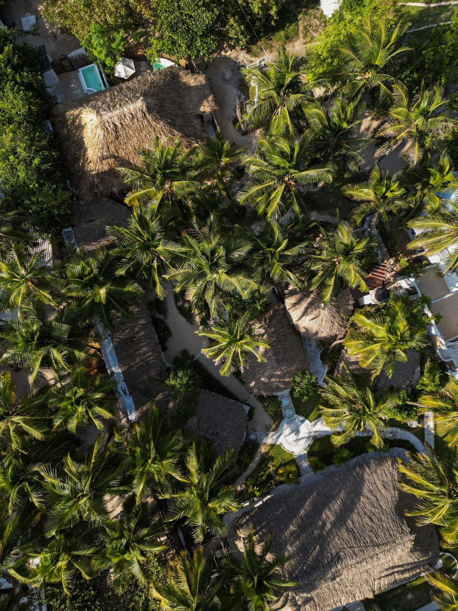Vista Mare Beach House Cano de Loro 外观 照片